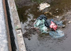 Шкуры забитых животных неизвестные сбросили в Кальмиус в Донецке