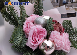 Январская вьюга или осенний дождь: какую погоду синоптики прогнозируют в столице ДНР в первые дни 2024 года