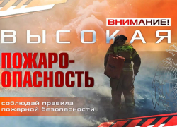 В ДНР объявлена высокая пожароопасность до 6 августа