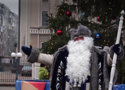 Из Великого Устюга в Макеевку привезли 14-метровую ёлку