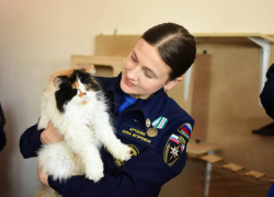 Волонтеры из ДНР оберегают пушистых друзей от чрезвычайных ситуаций