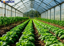 В Ждановке планируют построить тепличный комплекс