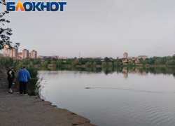 Жители ДНР выбрали что ремонтировать: благоустроят 33 общественные пространства