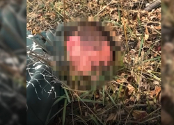 ФСБ задержала 25 членов украинского наркокортеля в ДНР