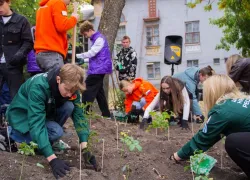 Более тысячи роз высадили в Донецке в память о погибших участниках СВО 