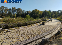 Последние теплые дни: прогулки и ремонт в ботсаду Донецка 