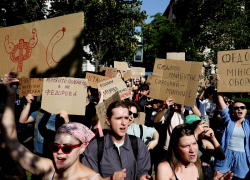 Новости СВО: украинцы вышли на митинги против увольнения Зеленского, ВС РФ удерживают позиции в городской застройке в Красном Лимане