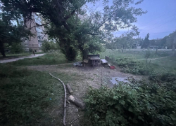 Зарезал в понедельник под деревом: в Ясиноватой раскрыли убийство 