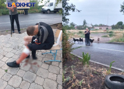 «Психоотмороженная дама»: злые псы пьяной хозяйки порвали жителя Мариуполя