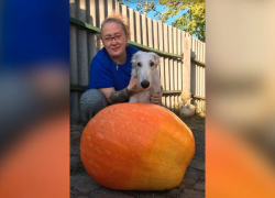 Жительница Горловки Светлана Парфёнова вырастила гантскую тыкву Володю на своем участке без воды