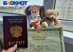 Пересечение границы ДНР и Ростовской области с детьми: какие документы понадобятся  