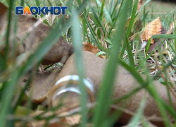 На мине «Лепесток» подорвался 52-летний дончанин