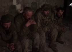 Девять десантников элитной бригады ВСУ массово сдались в плен на Авдеевском направлении в ДНР