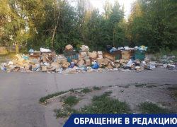 Очередная свалка высотой с человеческий рост собралась в Донецке на улице Бирюзова