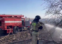 Пожарные спасли лес от огня в ДНР