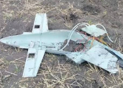 «Купол Донбасса» и средства ПВО  уничтожили 28 вражеских БПЛА этой ночью.