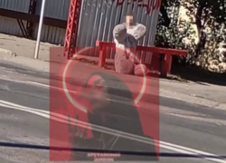 Маленький мальчика в костюме зайки развеселил жителей Петровского района Донецка