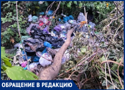 В центре Куйбышевского района устроили стихийную свалку под ЛЭП