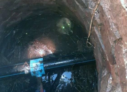 В Петровском районе Донецка сотрудники МЧС спасли собаку