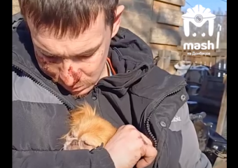 Собачка была не против: живодеры из Донецка рассказали свою версию истязаний над пекинесом