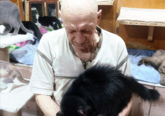 Шахтёр из Донецка превратил гараж в кошачий приют, кота взял даже Дима Билан 