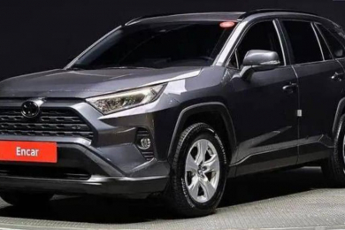 Таможенное оформление и доставка автомобилей в города ДНР - 