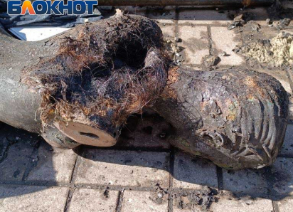 Обгорелые манекены и море осколков: коммунальщики ликвидируют последствия обстрела ВСУ в центре Донецка
