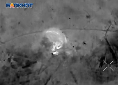 Боевая работа фронтового кота попала на видео российских дроноводов в зоне СВО
