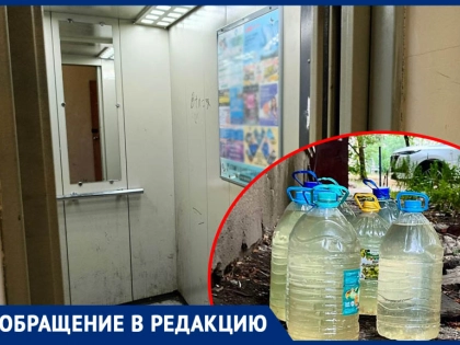 Қыз бен дельфиннің жыныстық қатынасы