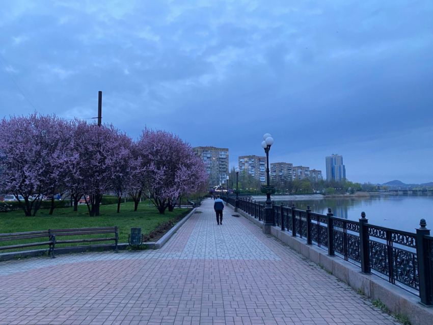 Заморозки ожидаются в Донецке в ближайшую ночь