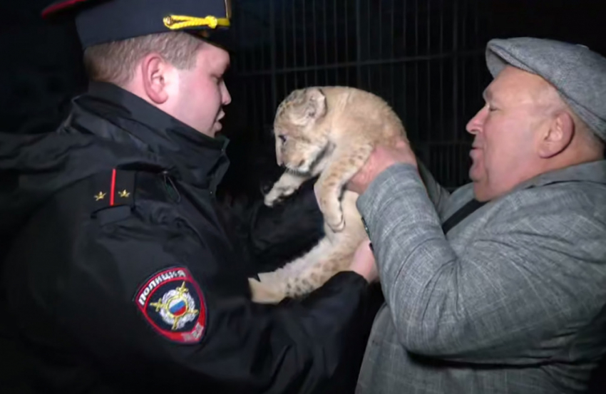 Маленького львенка спасли полицейские в одном из частных дворов в ДНР