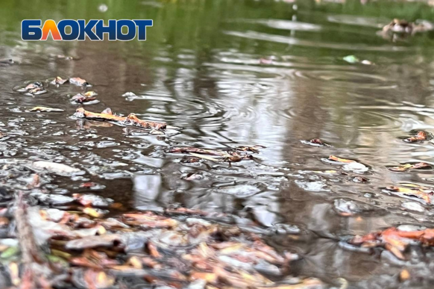 Дождь прогнозируют в Донецке в конце рабочей неделе перед Пасхой