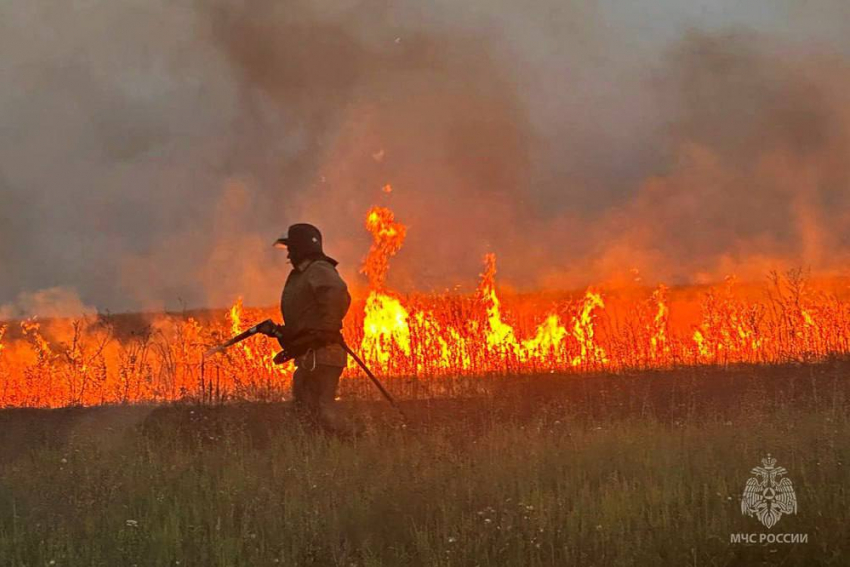 Крупное возгорание сухой растительности ликвидировали сотрудники МЧС ДНР в Новоазовском районе