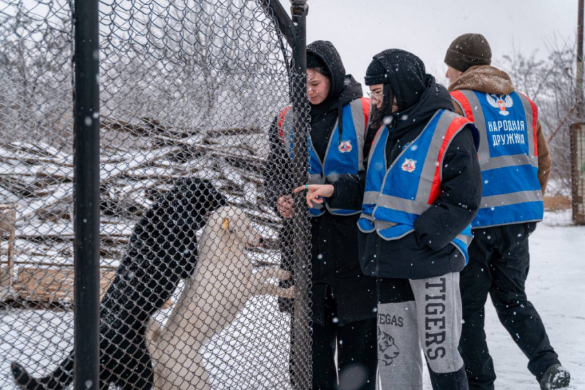 Преодолеть январские морозы бездомным собакам в Макеевке помогли народные дружинники