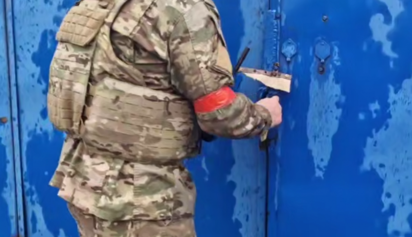 Заминированный кот: донецкие волонтеры спасают пушистых в Курской области 