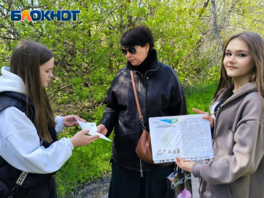 Молодежь продолжает бороться за парк в Азотном микрорайоне Донецка 