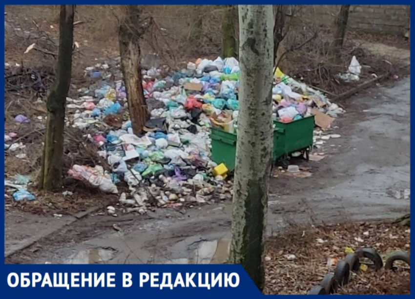 У свалки ТБО в Куйбышевском районе Донецка жители заметили крыс