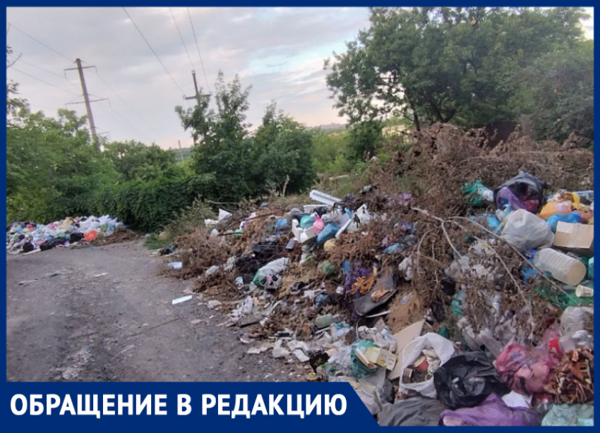 Более трех месяцев растет свалка бытового мусора на улице Буденного в Донецке
