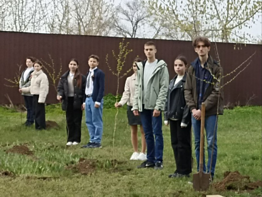 Более ста учеников, родителей и учителей Старобешевской школы №1 поддержали Всероссийскую акцию «Сад памяти» 