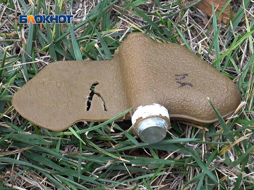 Пруд Песчаный в Кировском районе Донецка оказался заминирован «лепестками»