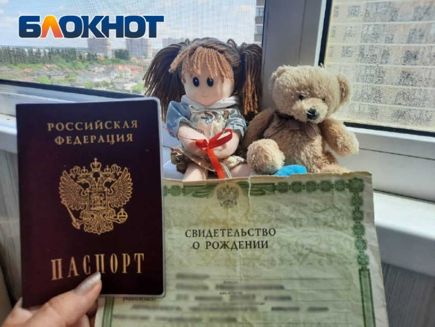 Пересечение границы ДНР и Ростовской области с детьми: какие документы понадобятся  
