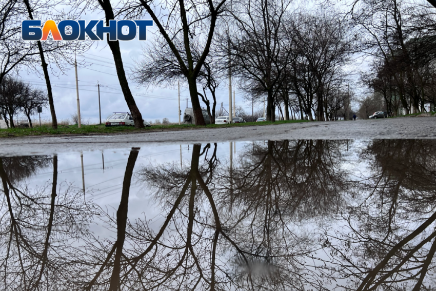 Синоптики не обманули: снег в Донецке в последние дни марта