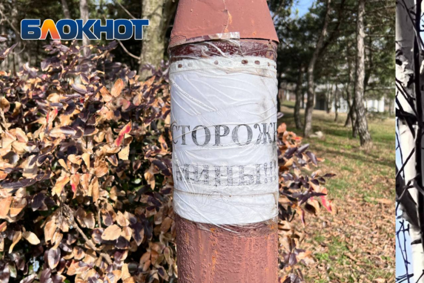 Противопехотные фугасные мины «Лепесток» обнаружены в Петровском районе Донецка