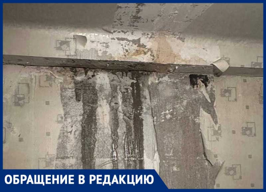 В Пролетарском районе Донецка заливает многоэтажку, ЖЭК бездействует, болеют дети