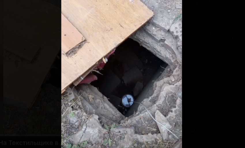 Собак могут заживо замуровать в трёхметровой яме в Донецке