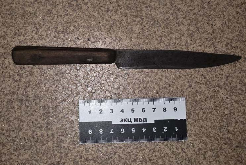Ранее судимая дончанка пыталась зарезать собутыльника