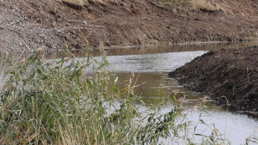 Реку Кальмиус в ДНР расчистят до Азовского моря в 2026 году
