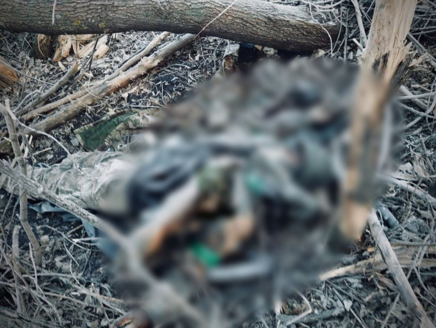 Зачистка Покровска: крепость ВСУ в ДНР завалена горами сгнивших трупов солдат