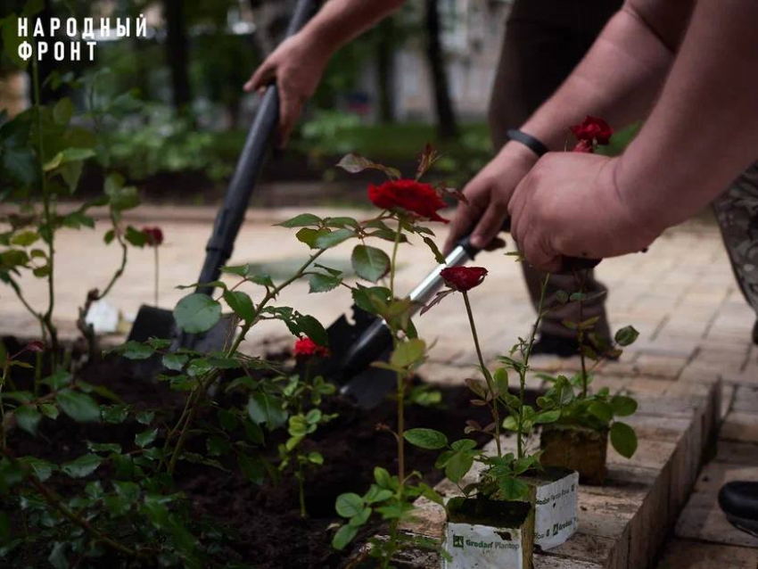 Донецку возвращают статус «города миллиона роз»