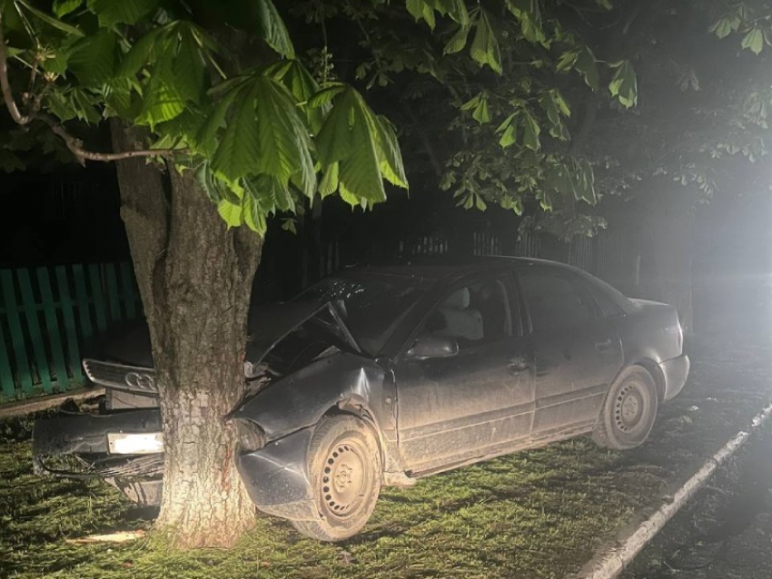 В ДТП пострадала беременная девушка: в Докучаевске автомобиль вылетел с дороги и въехал в дерево